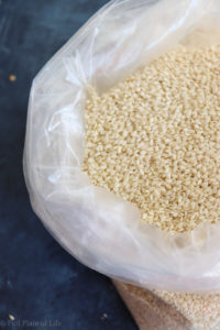 Organic Raw Sesame Seeds