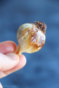 Organic Roasted Garlic