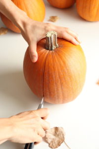 Cutting an Organic Pumpkin 3